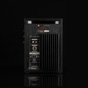 SWANS-D1080-IV-active-speakers-monitors